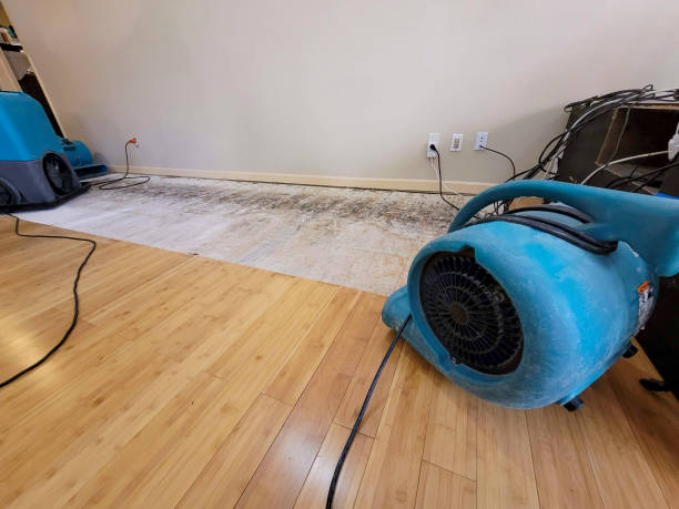 Professional Basement Flood Cleanup technician working in Stratford, NJ